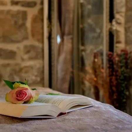 بيت ضيافة Old Spalatrum Luxury