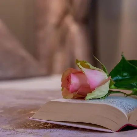 ゲストハウス Old Spalatrum Luxury スプリト